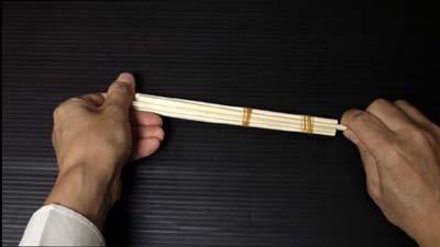 chopstick semiautomatic